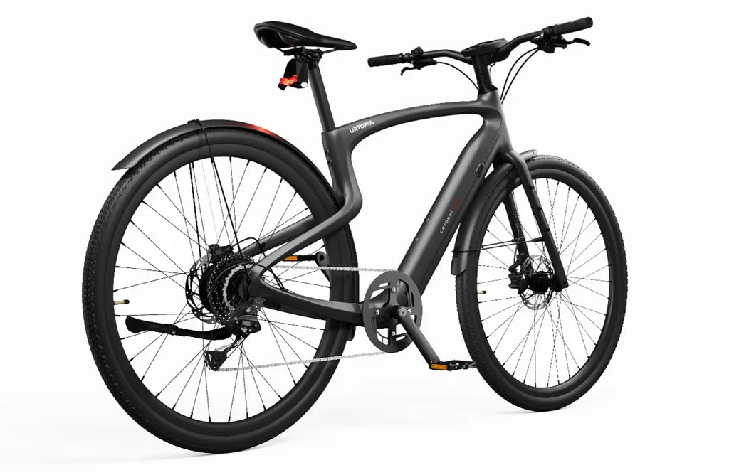 Carbon 1 Pro E-Bike