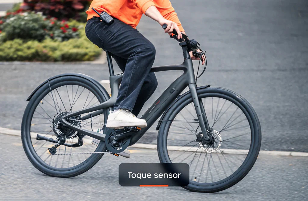 Carbon 1 Pro E-Bike