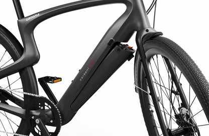 Carbon 1 Pro E-Bike